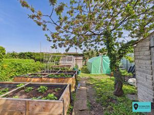 Garden - click for photo gallery